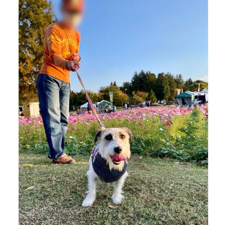 8ffdb7fb 4138 4e1b 91bc 463517c8e238 1668256936339