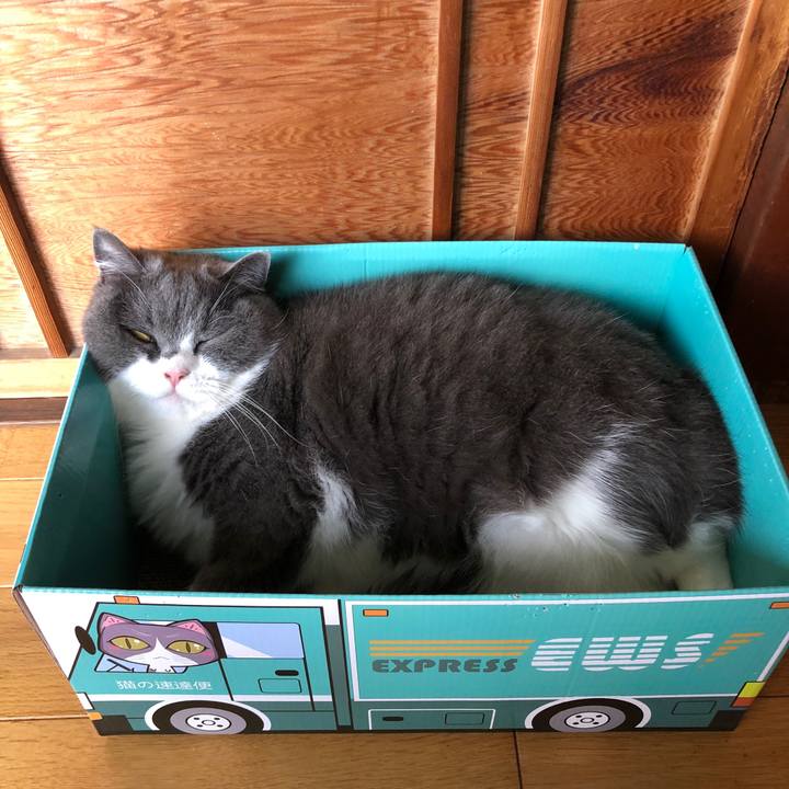 8ffdca0c d3f3 499c 908b 31774df062a2 1592709820957