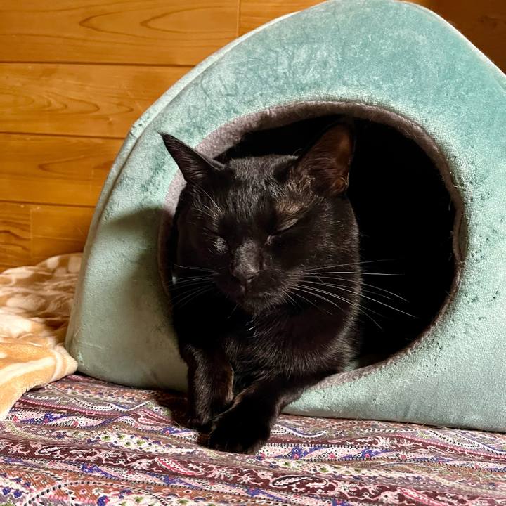 8ffe0c8b a39c 4ac8 a97d bbf24961ca9f 1689854798405