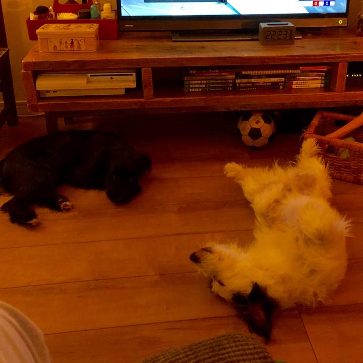 8ffe4318 3ff4 45e0 abc3 ab82f1f16374 1538521392359