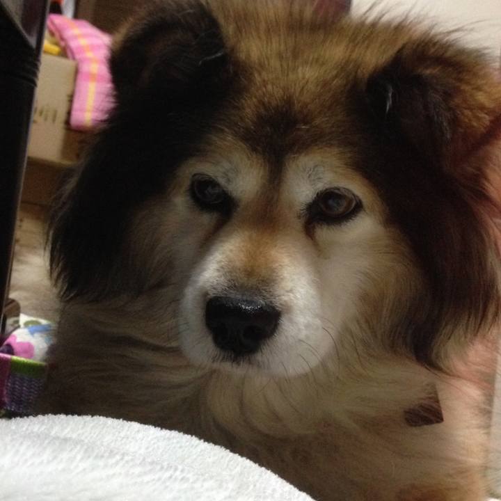 8ffe54ac 2199 43c7 89dd d6d0b754041b 1588574062753