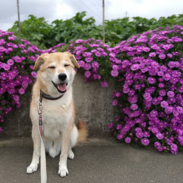 8ffe563e 24df 4870 b912 bdd2892173fb 1558333932850