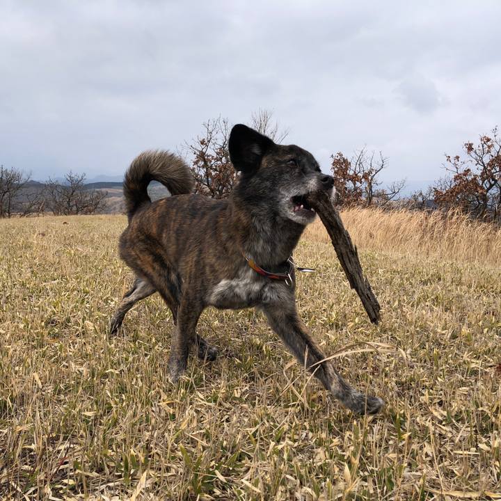 8ffe570d d04e 4818 8b04 d79590aac331 1581423761873