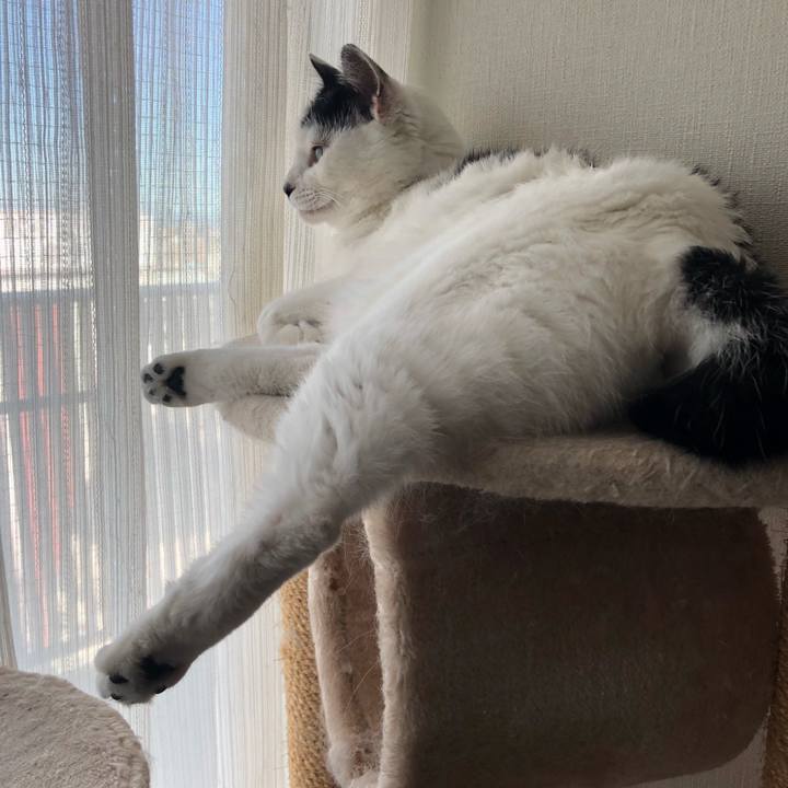 8ffe8054 8dcd 45fb 8d36 48eee9f3fbea 1538350133153