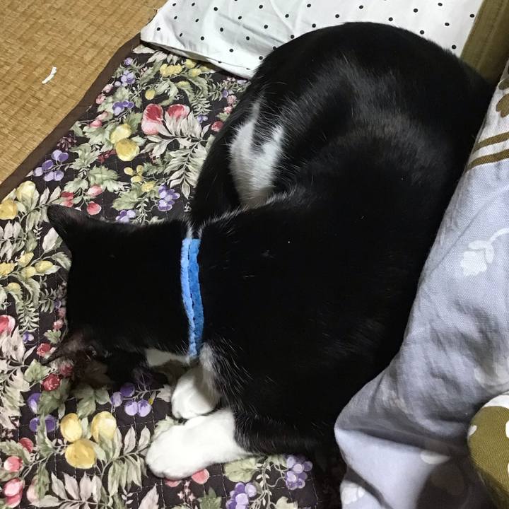 8ffeb34d 69ed 4b46 a8ad fecde3a44f1f 1678619380085