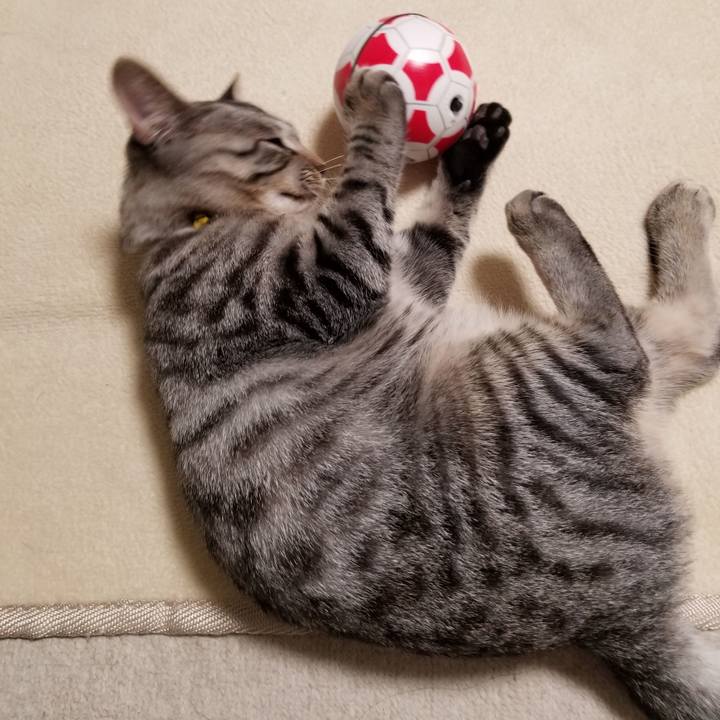 8ffeb4b1 4a7c 4fd8 b73e 0480de5866c6 1670122917715