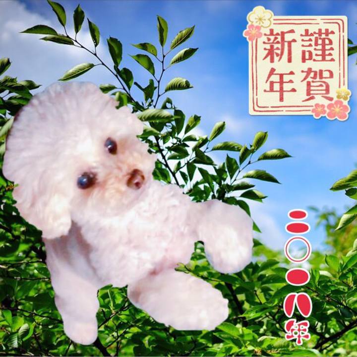 8ffebc98 f8a7 4edc ab97 88590bca23e5 1514786833029