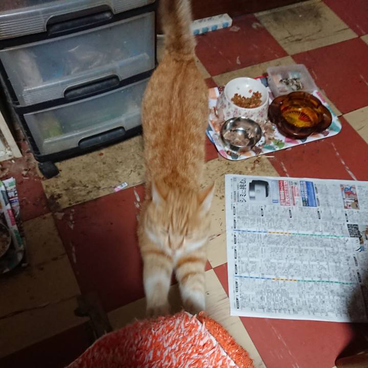 8ffed786 66dc 4527 89ac 5c8945da29ff 1591215140020