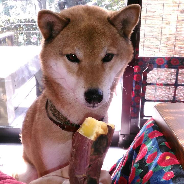 8ffee246 01c8 4749 aa0a 3be59feb03c8 1518400925839