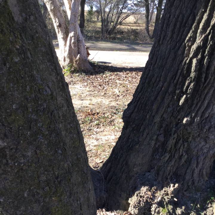 8fff507e 13c1 42ef 86de 3105bfd7d25d 1610093417521