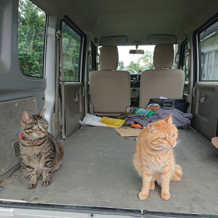 8fff5202 62d3 4aee b6d4 5d0fc6399311 1657009753071