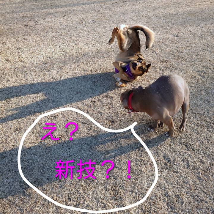 8fff5df3 c7c3 49fd afc1 6d043d3a3792 1767489570242