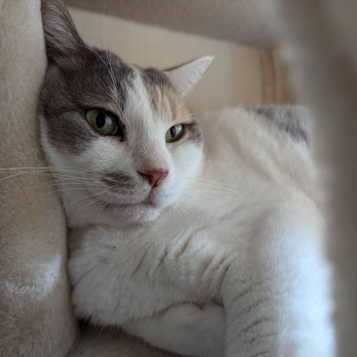 8fff6866 be02 4856 8d62 b8945395dbe7 1726622141958