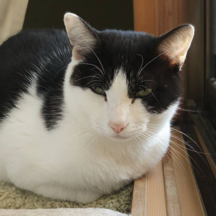 8fff93e6 767d 4abb a15d 5776a4a57507 1544927020413