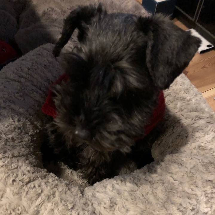 8fffa212 a7a4 495c 8573 c7585785b8df 1547591802910