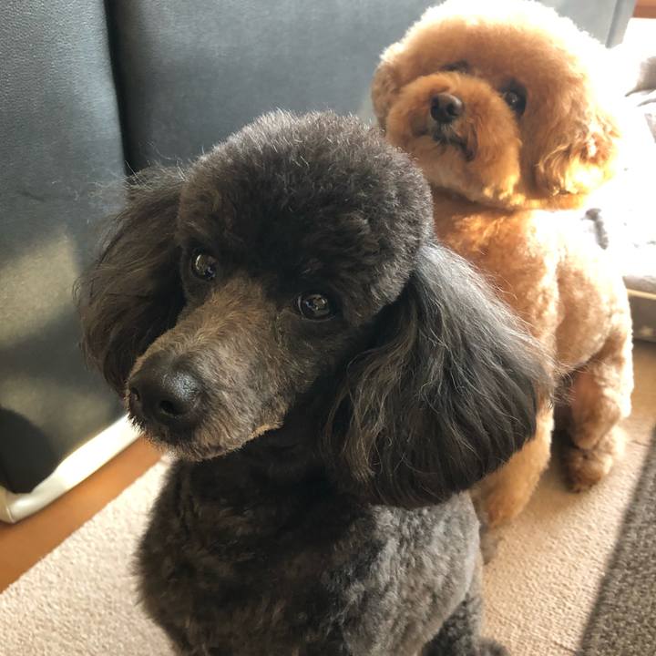 8fffc1dc 2b2d 4250 bee5 8cafa0f51ebb 1587719542230