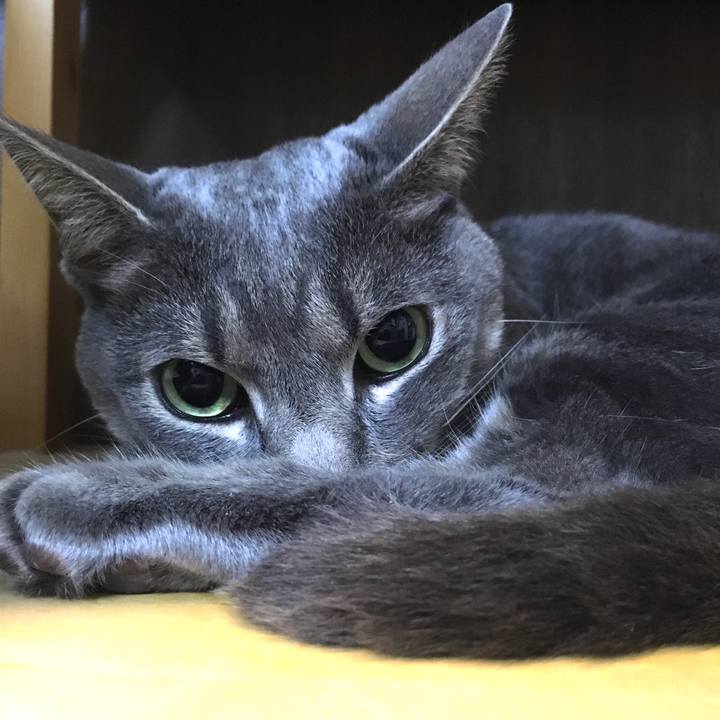 8fffde54 dcd7 4b00 af62 66e0614ce469 1592008871711