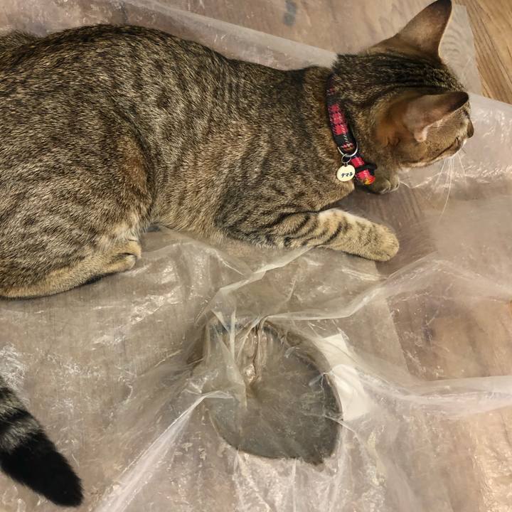 9000991e c981 4aed a042 16d0ac1f2d24 1601521842259