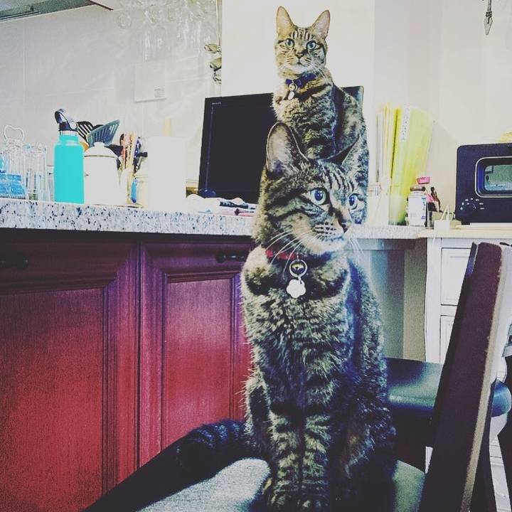 9000be3b b616 4fdf 8dc7 08709916ce02 1630588723107