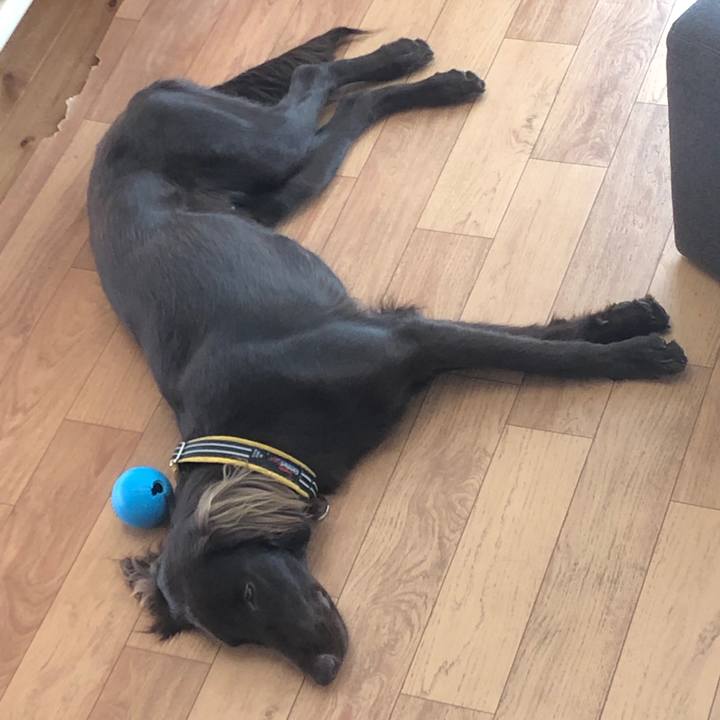 9000ee67 b94b 43ef af48 f7a543d06a8e 1586561649990