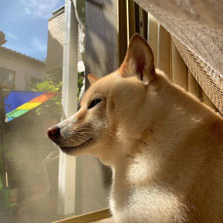 9000f2b3 1fde 4c9f a021 ad93891b6e89 1631232885533