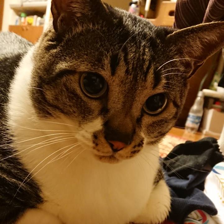 9000f874 9739 4e2b 89e9 6e319cd373bf 1557973869593