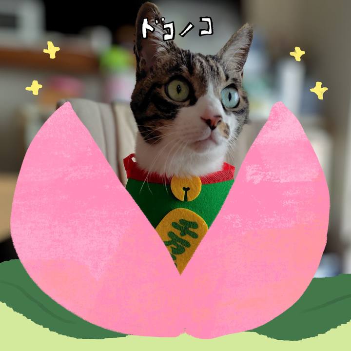 9000fbb5 b147 42e6 96f7 34130c692af0 1771998867734