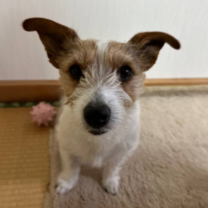 90013827 b2c4 41cd 9c22 8dc7f163ff37 1773613366160