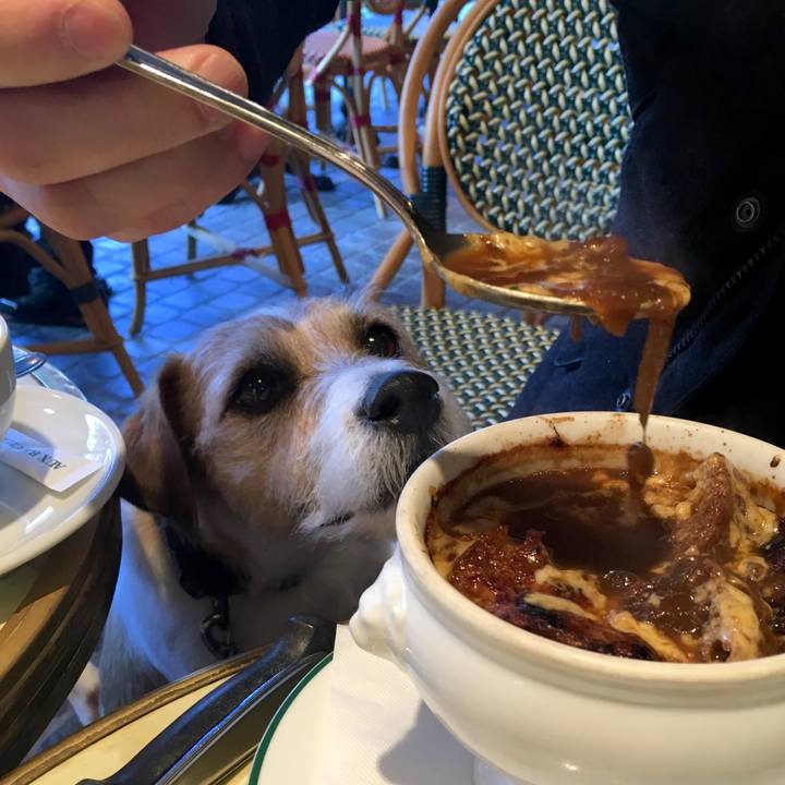 90016247 c2bb 4781 99a8 6f84c7d306d3 1578230809596