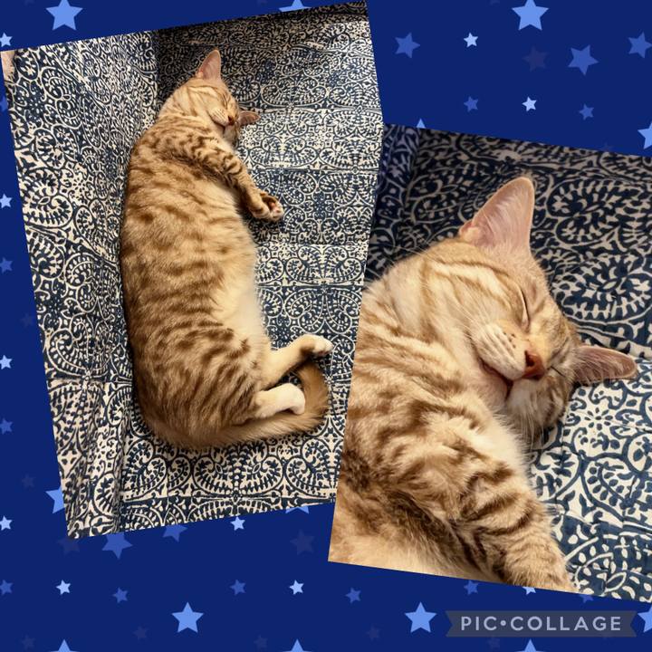 900168b8 a048 4d6c 8c22 38140796f086 1716294588531