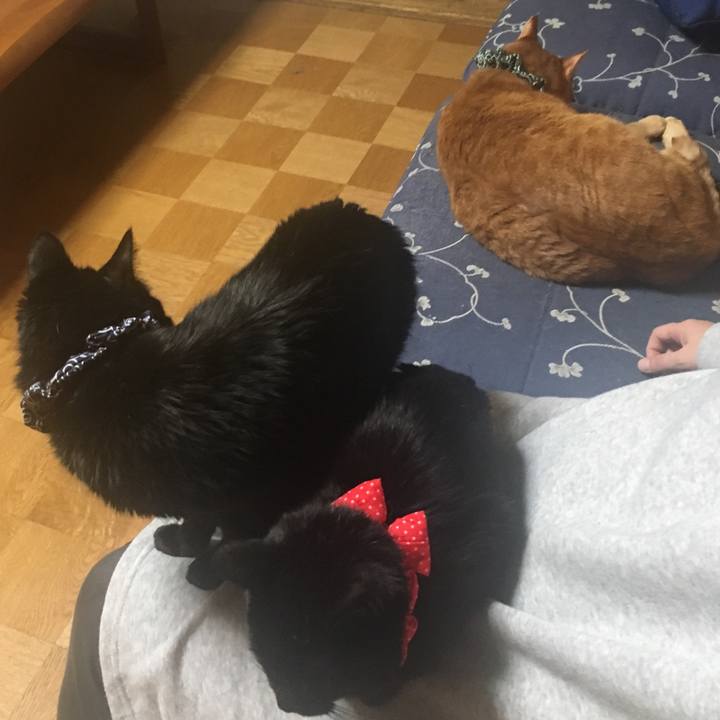 900194fd bcf1 4496 b017 618ac80e50c0 1552731372581