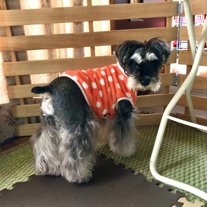 90019f3e fa5b 4a5d a7fa 6f3e3a4fdded 1702798180864