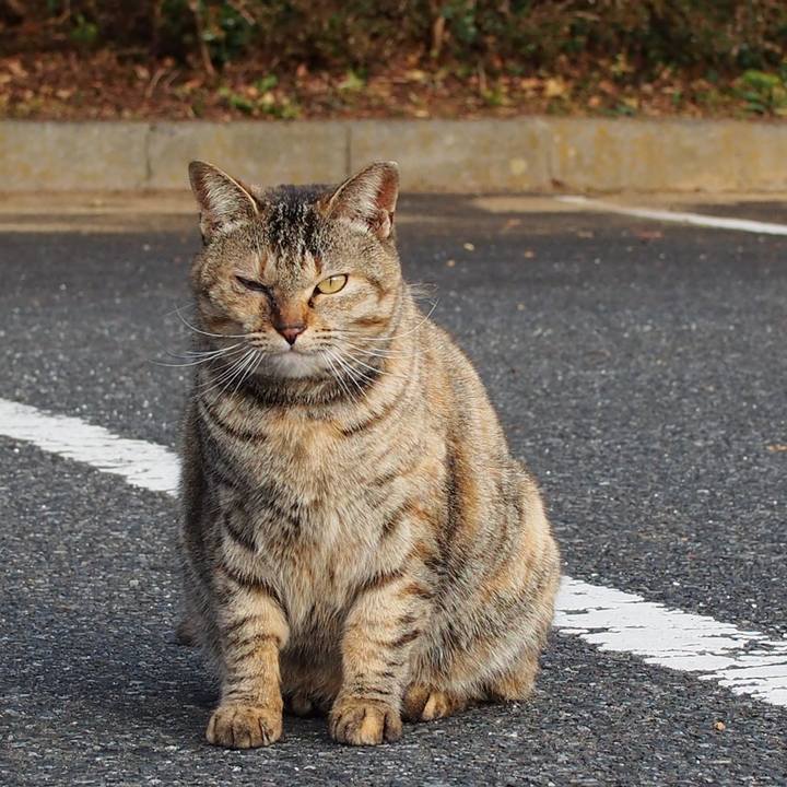 9001ce36 fcc6 4a9b bb56 63e9006e6e2f 1581753501790