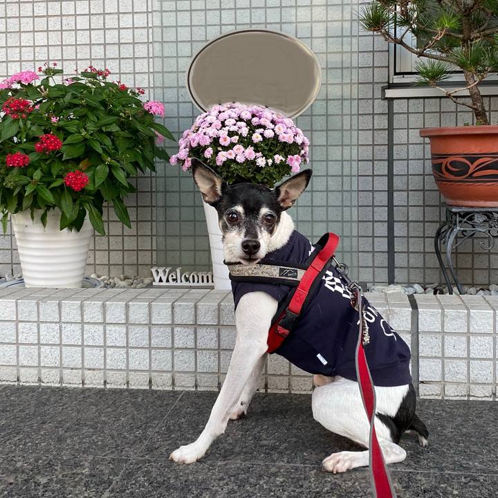 9001e2cc 6c18 49f4 8b2a 2f306ffdb55f 1603752974742