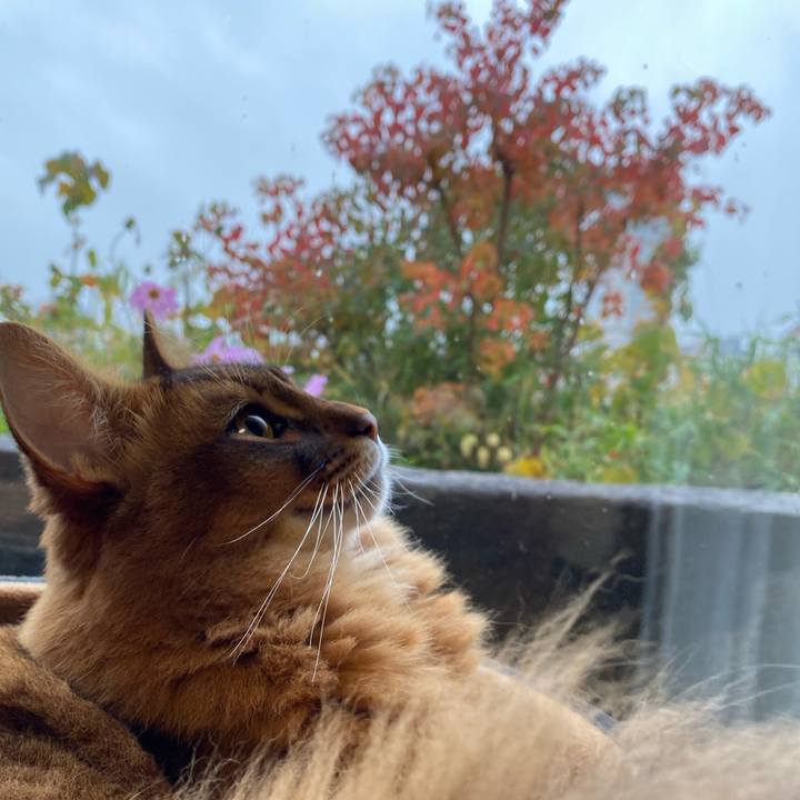 900215e2 f679 48e8 8fc2 9dccba45a000 1668307149936