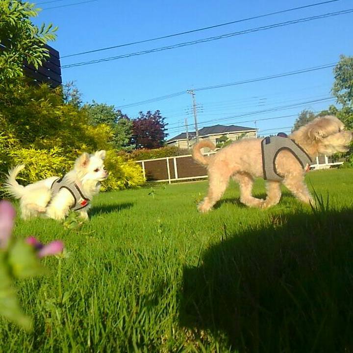 90026ed2 d627 4e72 903d 4d277f8c5de0 1526725422247