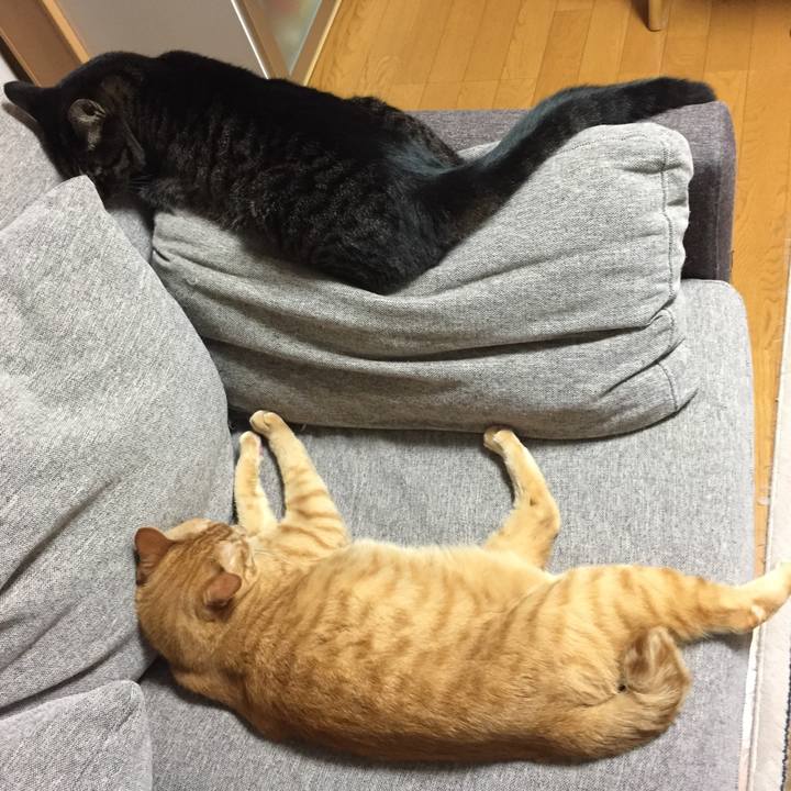 90027165 b892 4946 b4af 1c8a423ff827 1534249198954