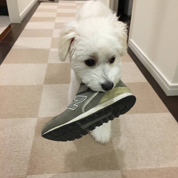 90028400 3b23 4565 b516 1d92f499fb14 1539351316574