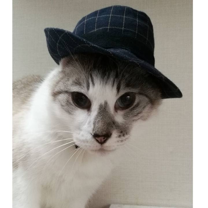 900287be 0a46 4aef b0e9 08cc1f4965ca 1528100073085