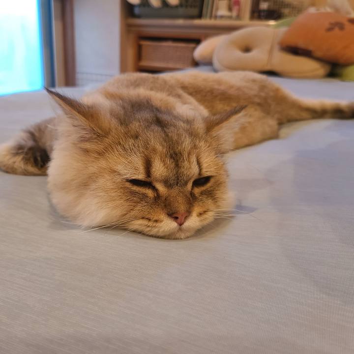 9002a300 e6f0 4ff1 95a8 253a11bdc4d3 1600230413704