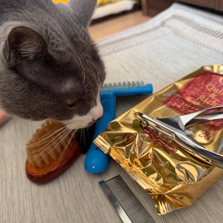 9002d93e 65fb 4829 834b 2d38b68013f2 1768707517639