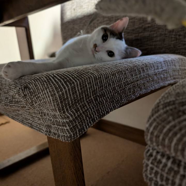 90030e30 90f9 4a8d 8724 f74f0de9df88 1720447296016