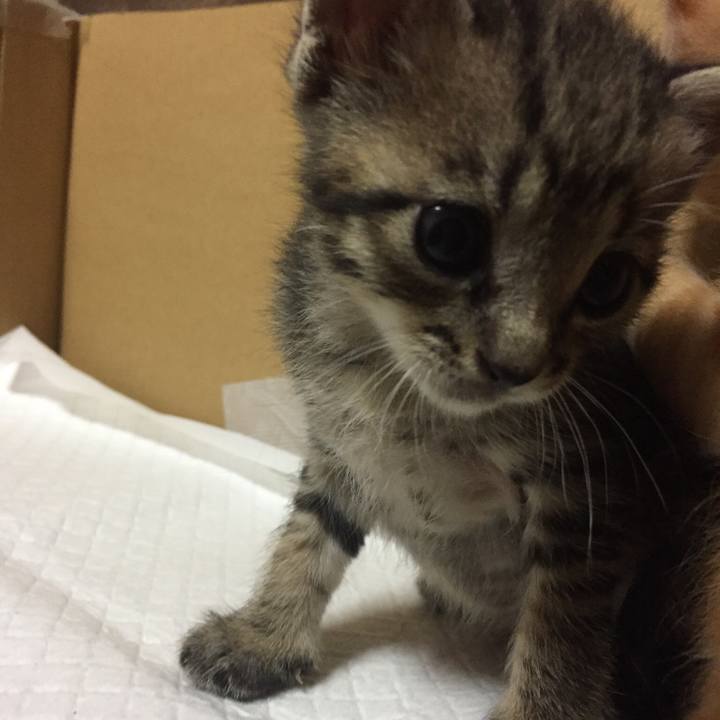 9003276d 6bbc 4f97 8a7c 41d191bb44d9 1532573832907