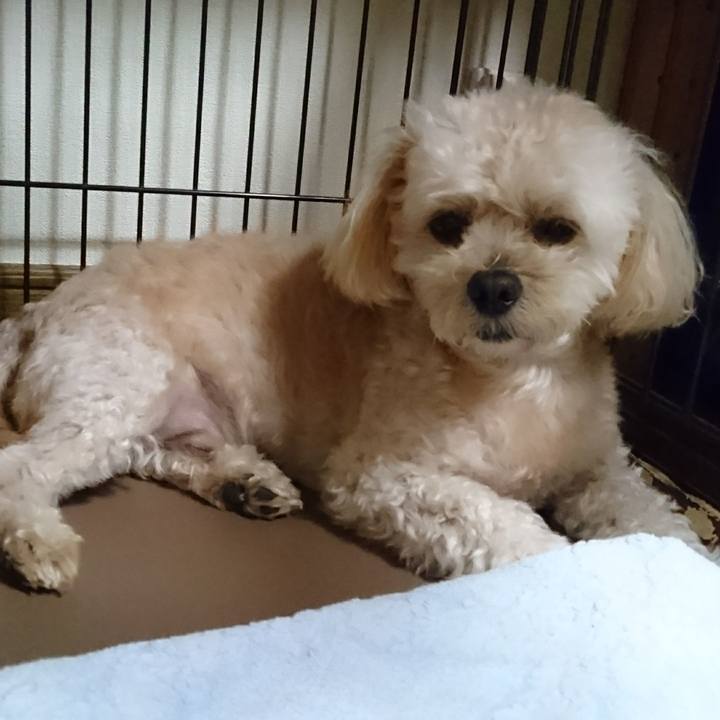 90035eb5 1bfc 42e6 b25a a98ceaee5062 1536039075095