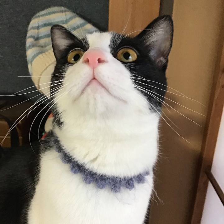 900387ff 9dd4 4330 be66 d82a54ce7fd3 1643527788244