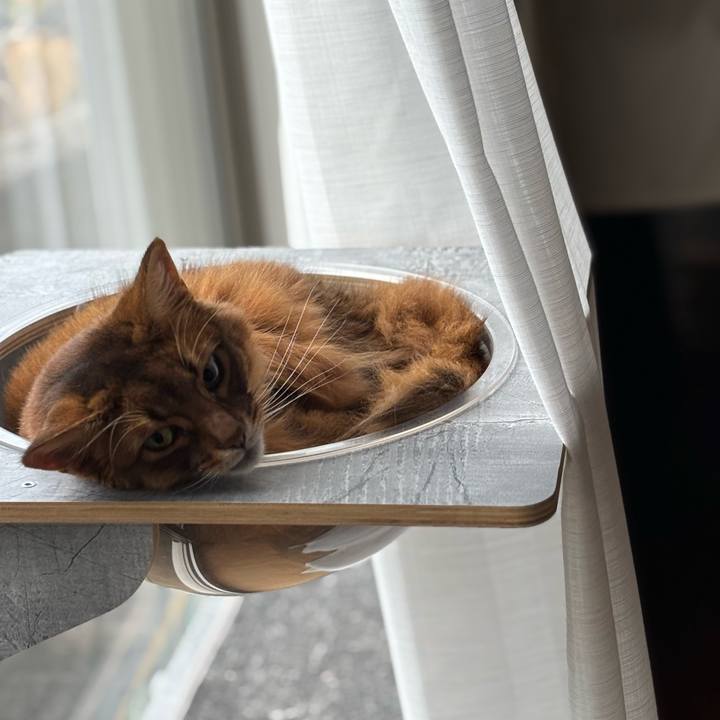 9003960a 977f 4845 a61b 1a4379392d7f 1763543347765