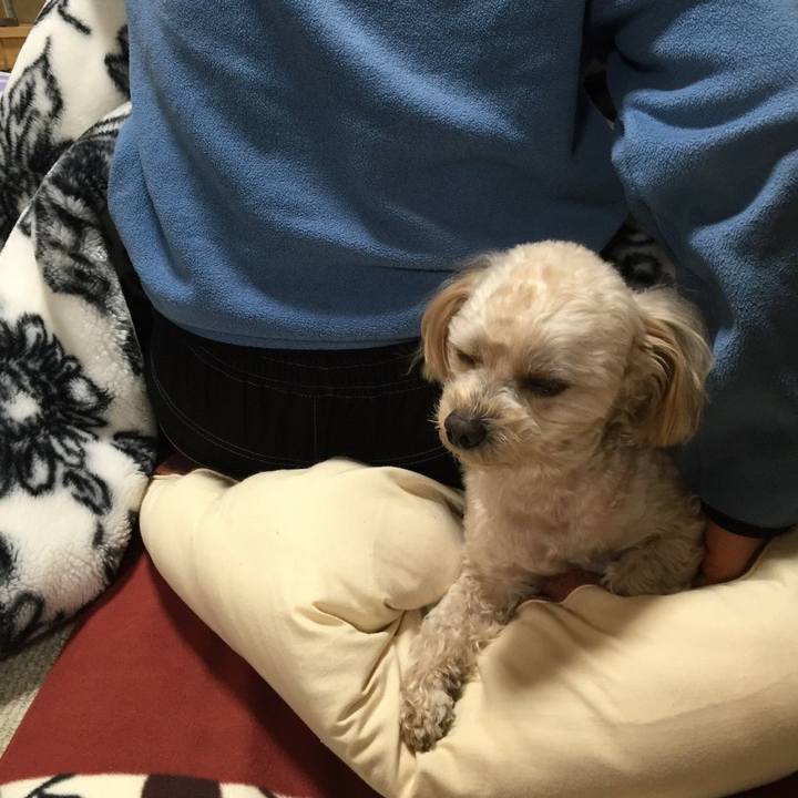 9003ac3a 6bd5 4bfc 8238 96ed0252f1da 1547905931714