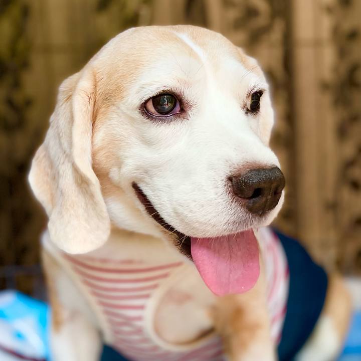 9003c08b 7b18 4df7 8103 cd59e1c1a7b1 1626061668754