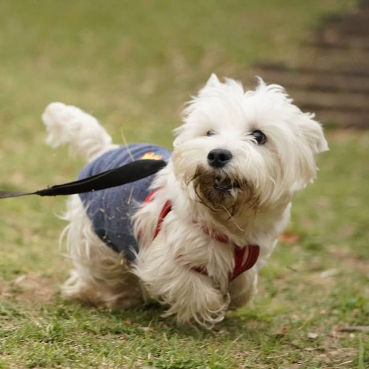 90046a3c 25dd 48e5 92ca b3c91e9e30e5 1522934902122