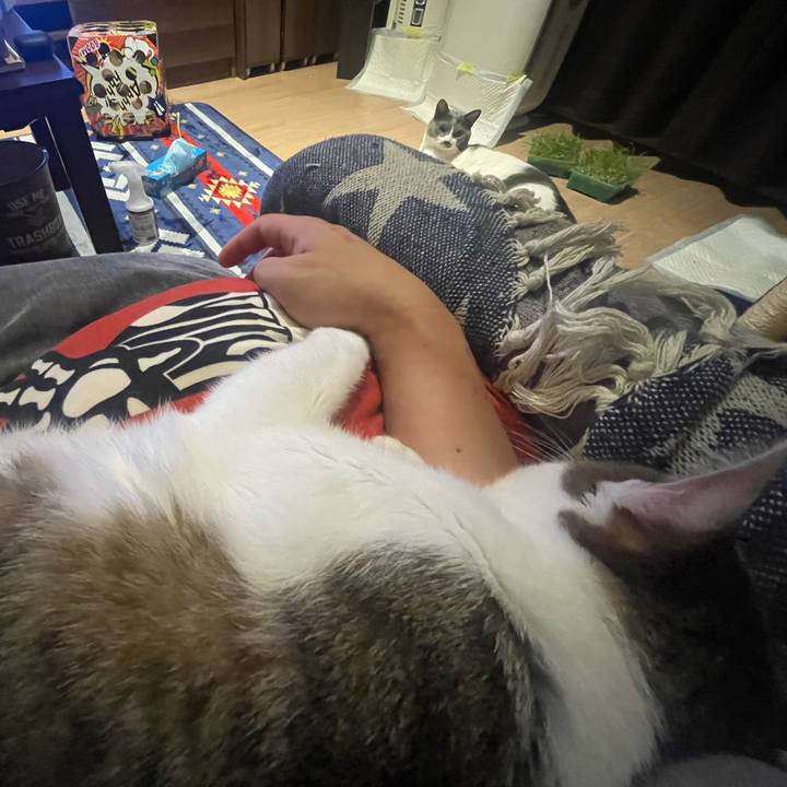 90048e8e 23b3 4c67 9650 834842a75084 1630921246161